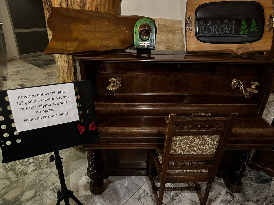 Hotel Borovi Sjenica主图