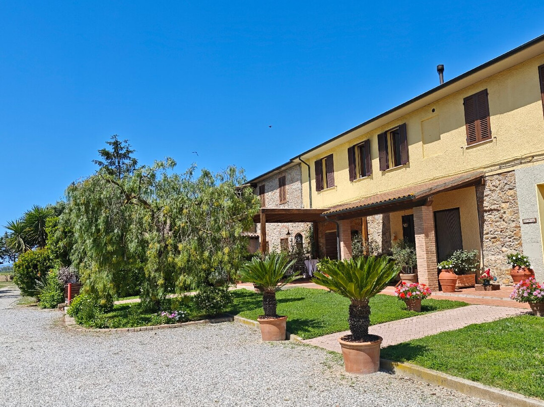 Agriturismo Il Cuscino Nel Pagliaio