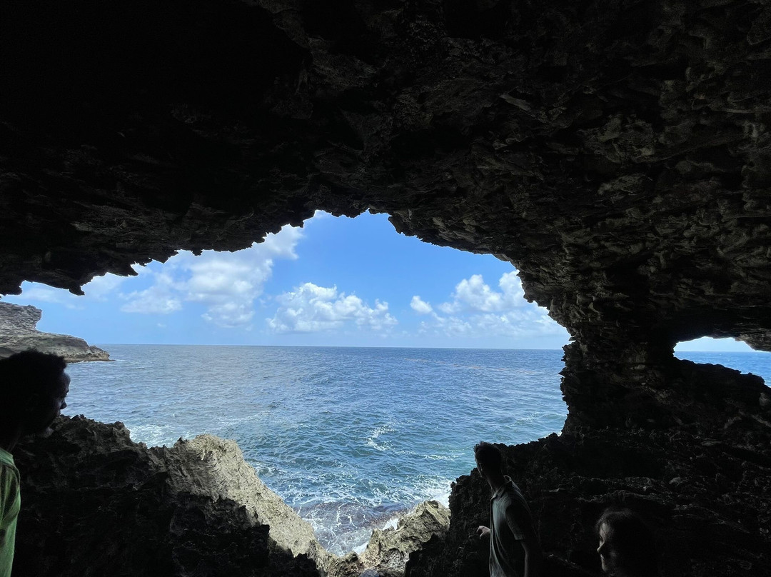 Animal Flower Cave-Saint Lucy Parish必去景点