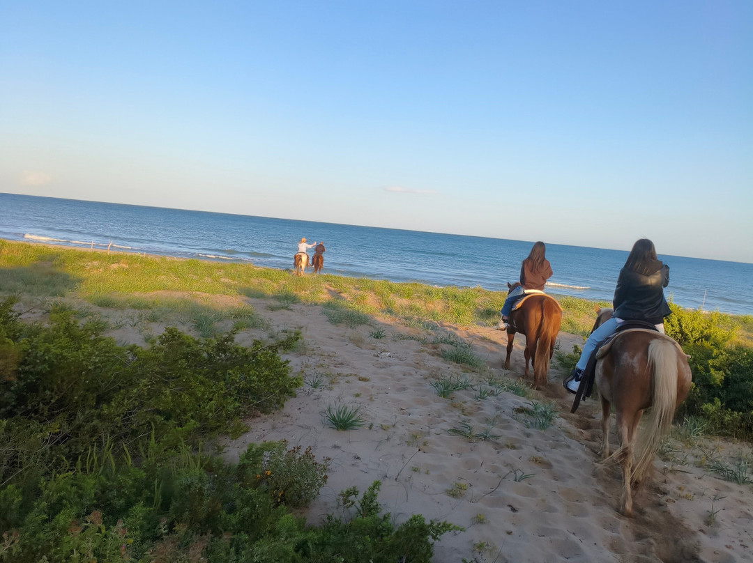 Family Horses 373-5361953-Marina di Ginosa必去景点