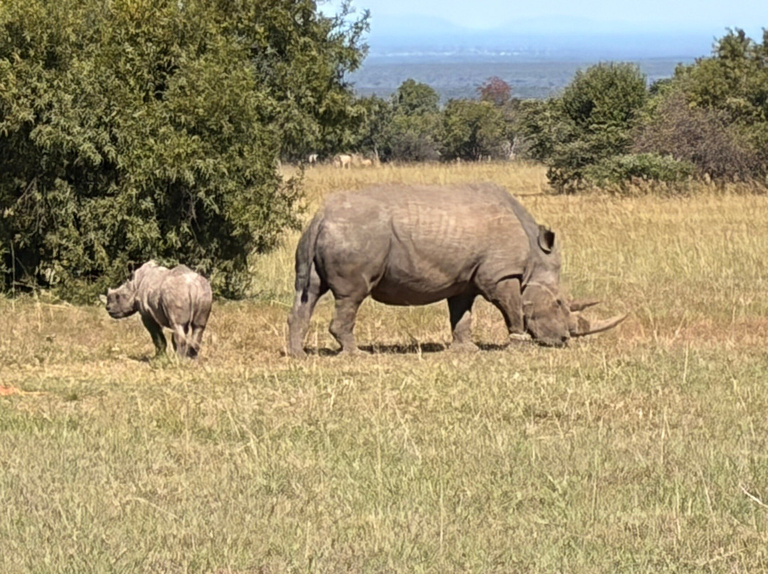 Kartula Marula Adventures-Steenbokpan必去景点