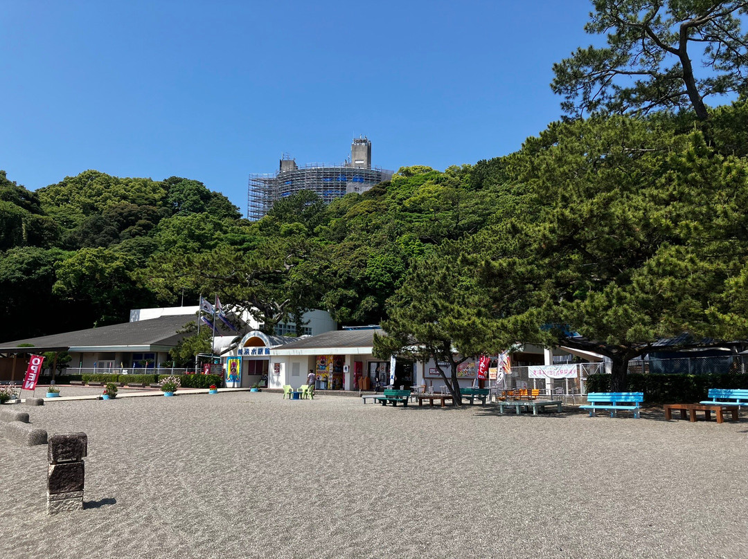 Katurahama Aquarium-高知市必去景点