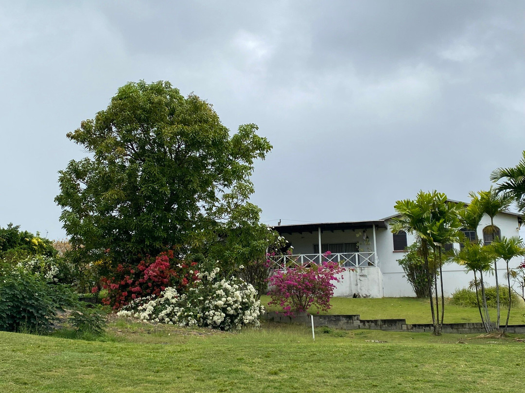 Barbados Golf Club-基督城必去景点