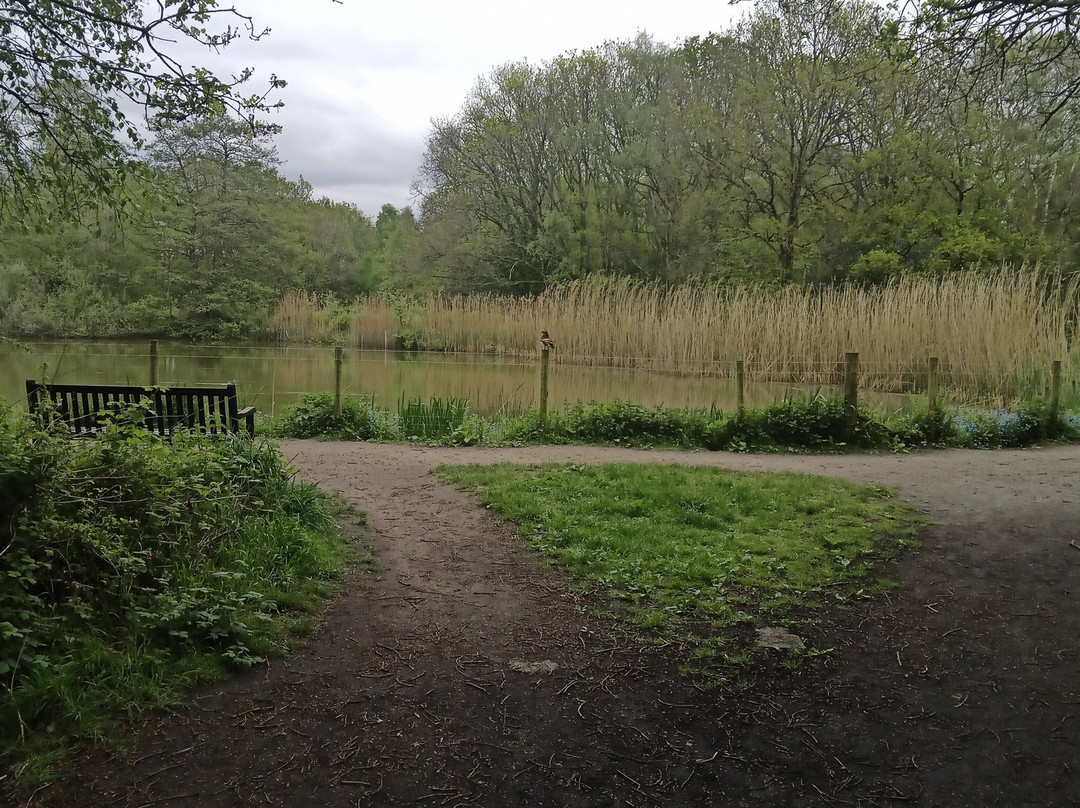 Lindow Common, Wilmslow, Cheshire, Uk-威姆斯洛必去景点