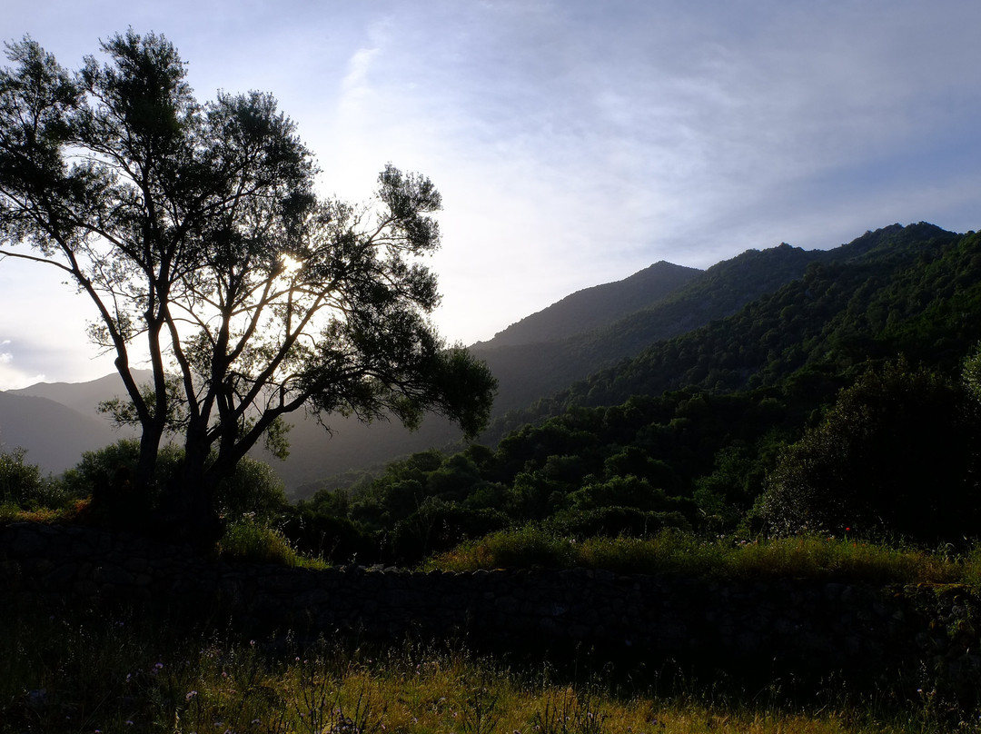 Agriturismo Abini