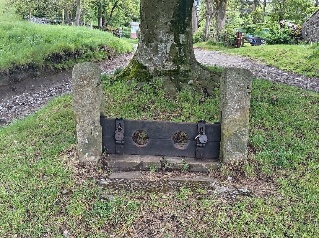 Appletreewick stocks