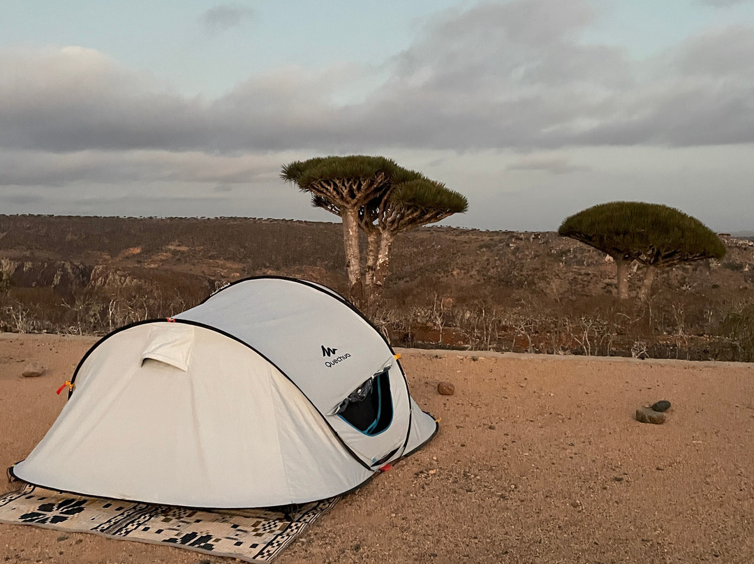 WelcomeToSocotra-索科特拉岛必去景点