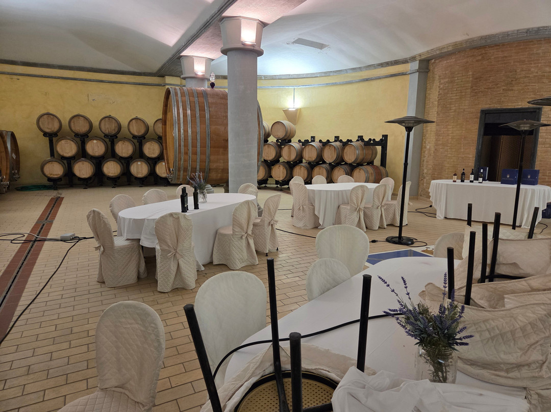 Badia Di Morrona Wine Tour & Tasting-Terricciola必去景点