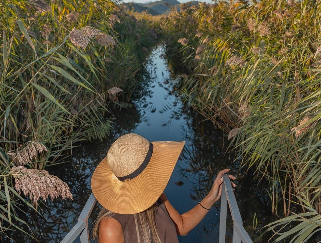 Spirit Of Montenegro / Skadar Lake Boat Tour-Vranjina必去景点