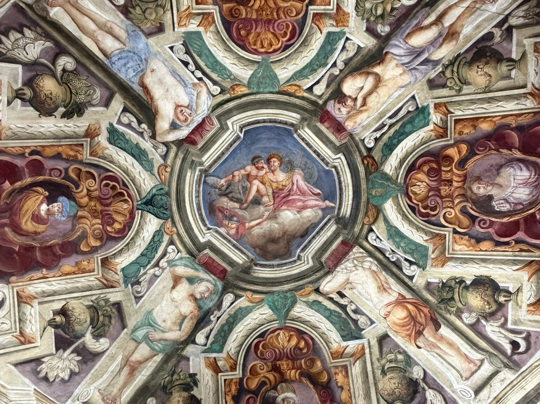 Palazzo Salis e Museo Senza Frontiere-蒂拉诺必去景点