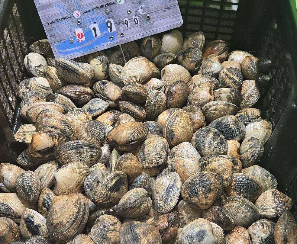 Marché sous les halles-罗什福尔必去景点