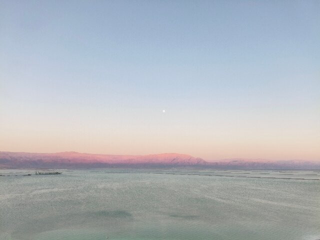 死海维特酒店主图