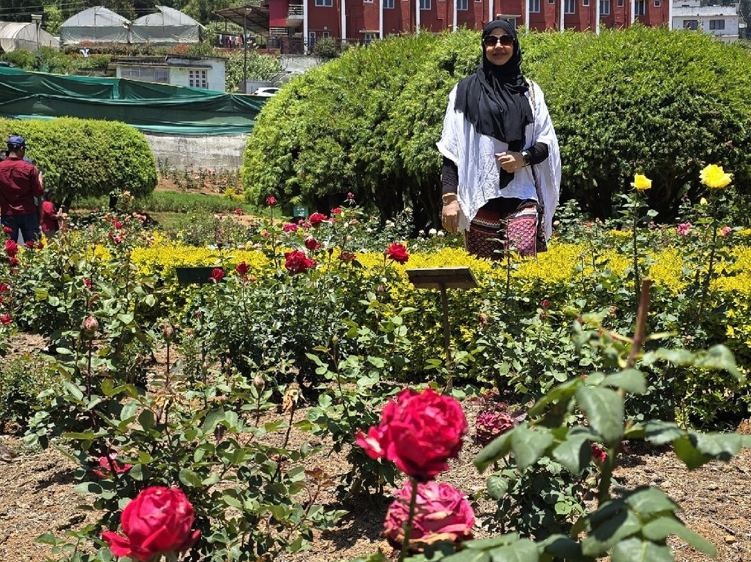 Government Rose Garden-乌提必去景点