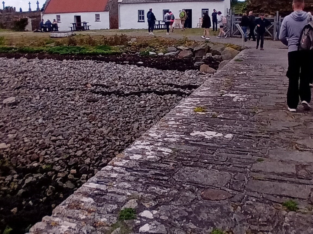Scattery Island Tours-Kilrush必去景点