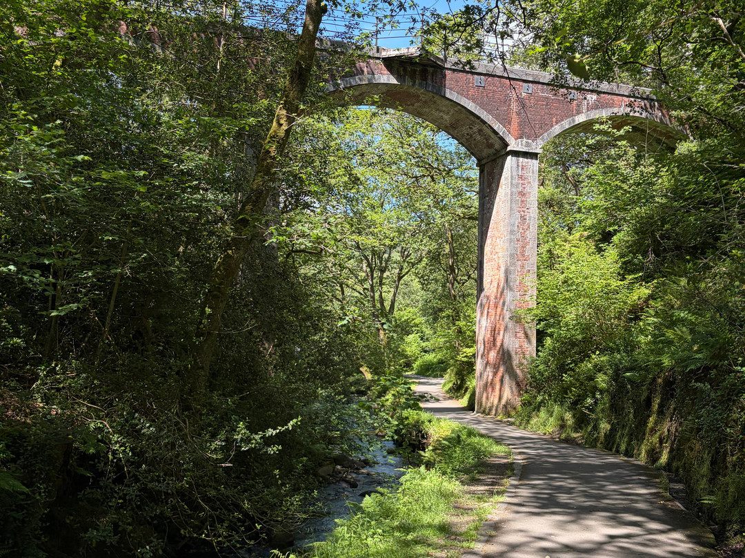 Dolgoch Falls-雪墩国家公园必去景点
