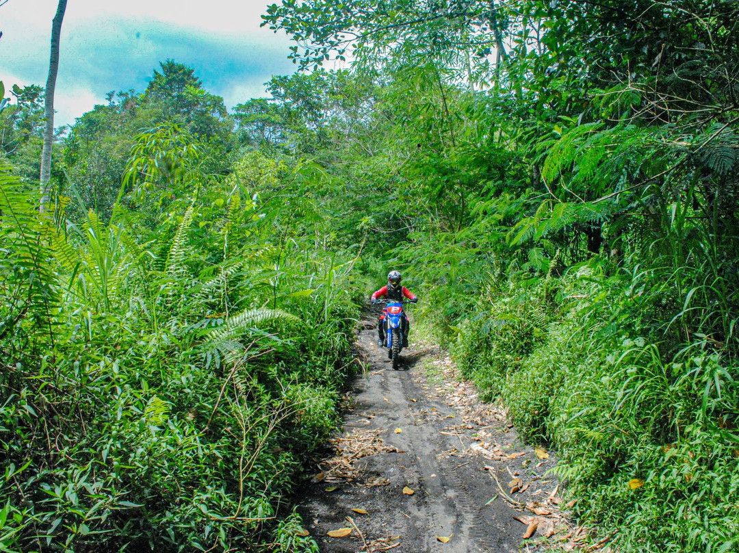 Bali Wilderness Dirt Bike - Day Tours-巴厘岛必去景点