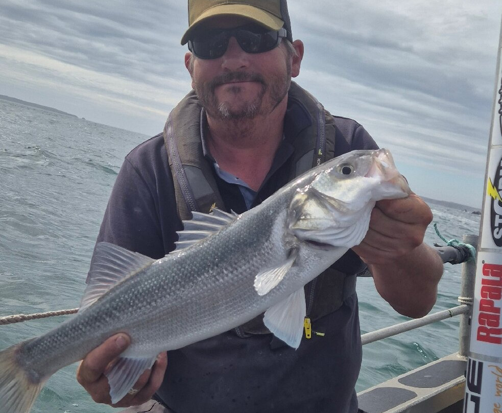 Awesome Fishing Wales-Dale必去景点