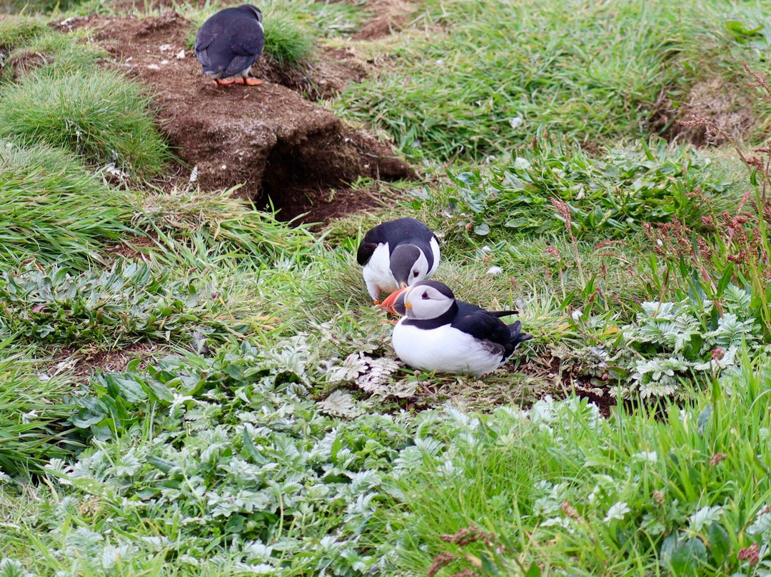 Isle of Lunga-The Hebrides必去景点