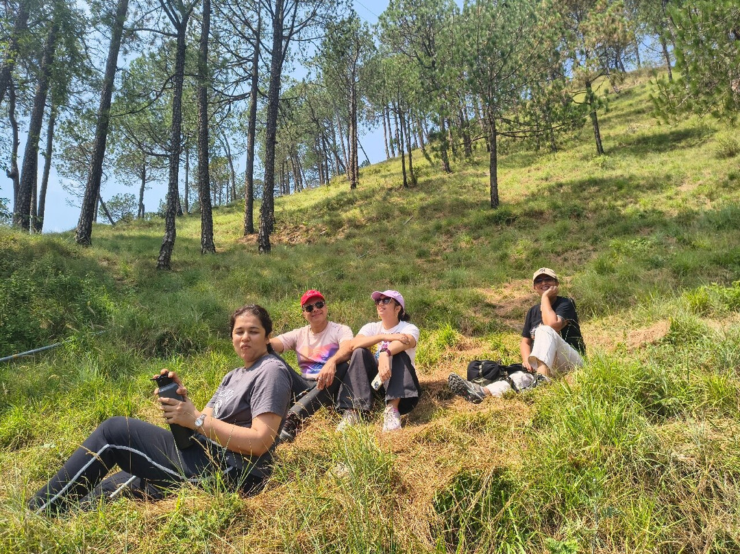 Kasauli Nature Walks With Vanita-Kasauli必去景点