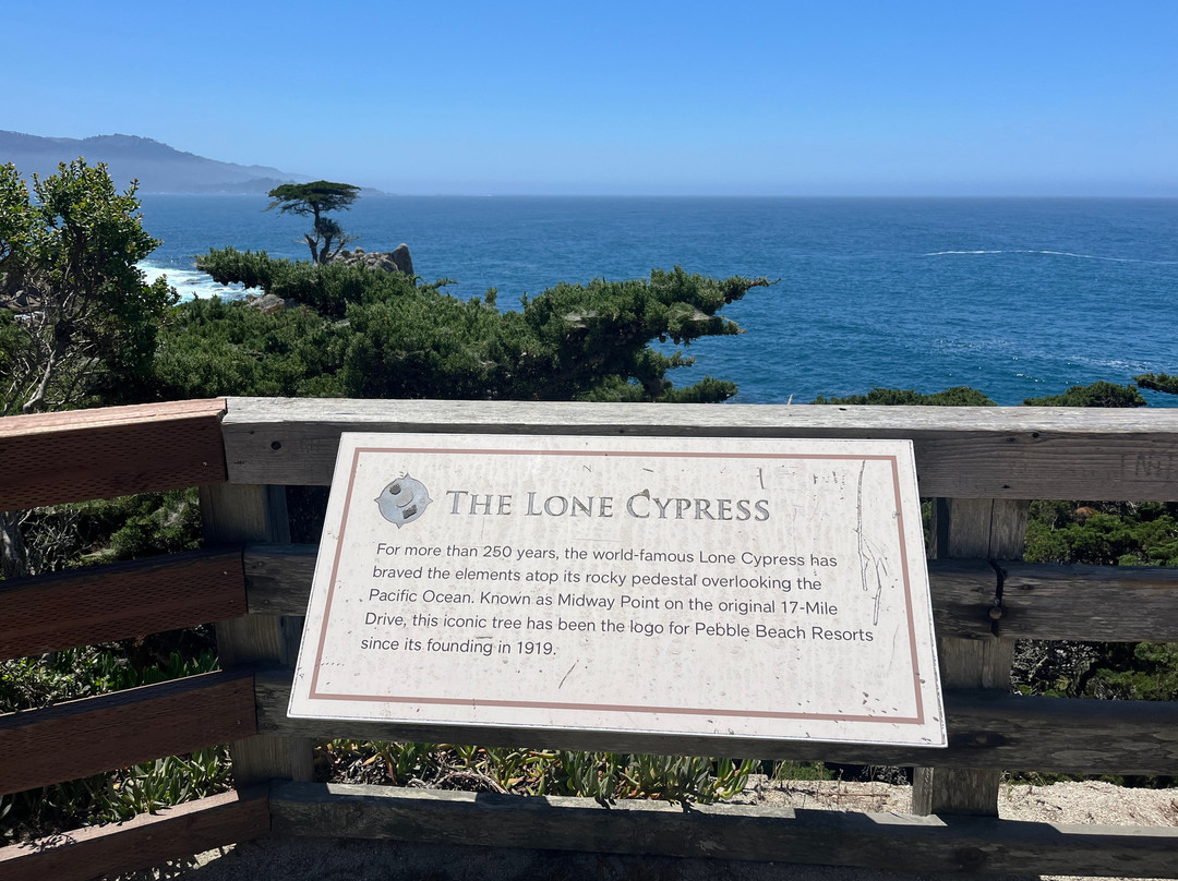 Lone Cypress-圆石滩必去景点
