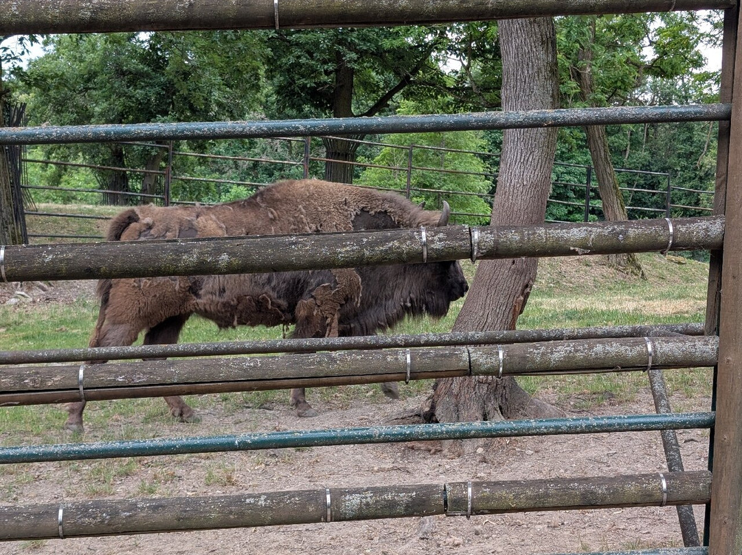 ZOO Bratislava-布拉迪斯拉发必去景点