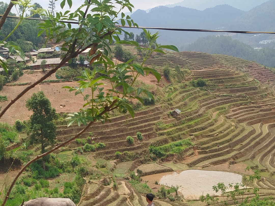 Hmong Immersive Journey-Mu Cang Chai必去景点