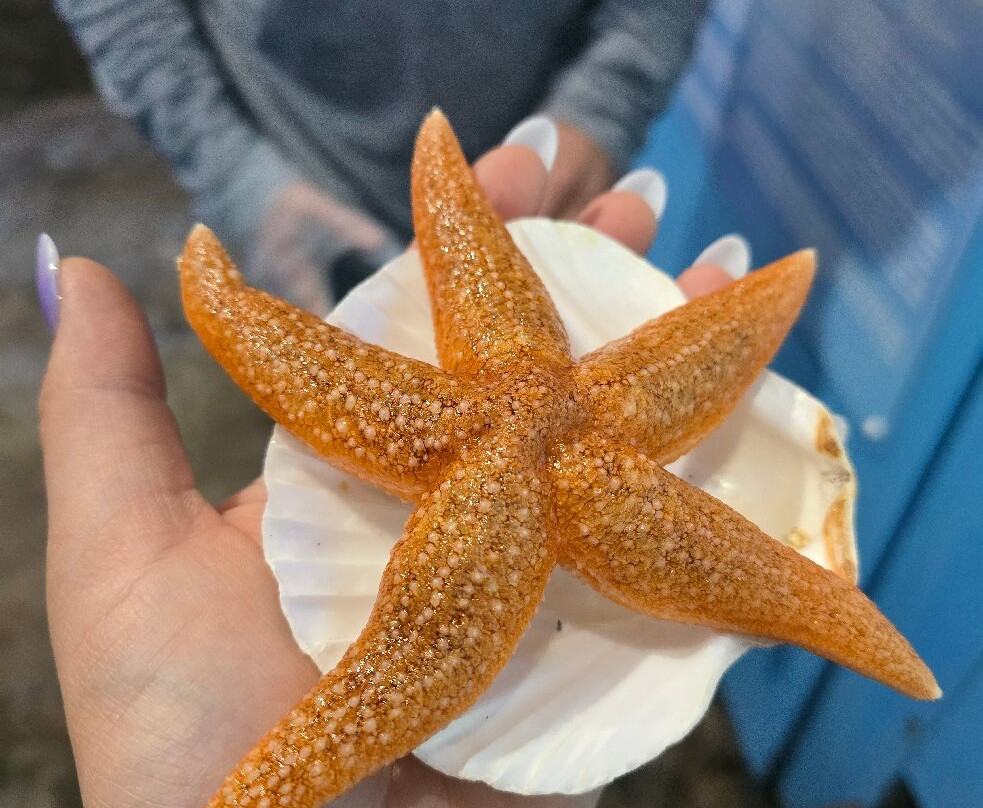 Lyme Regis Marine Aquarium-莱姆里杰斯必去景点