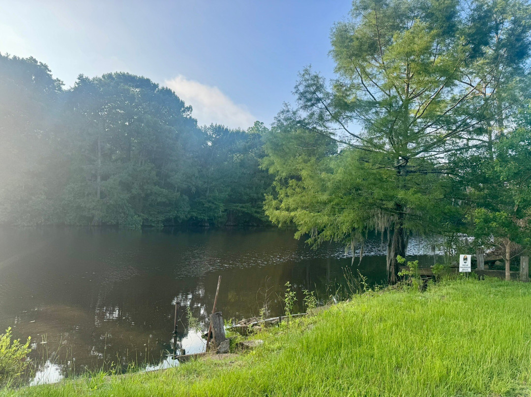 Bayou Bend RV and Camping