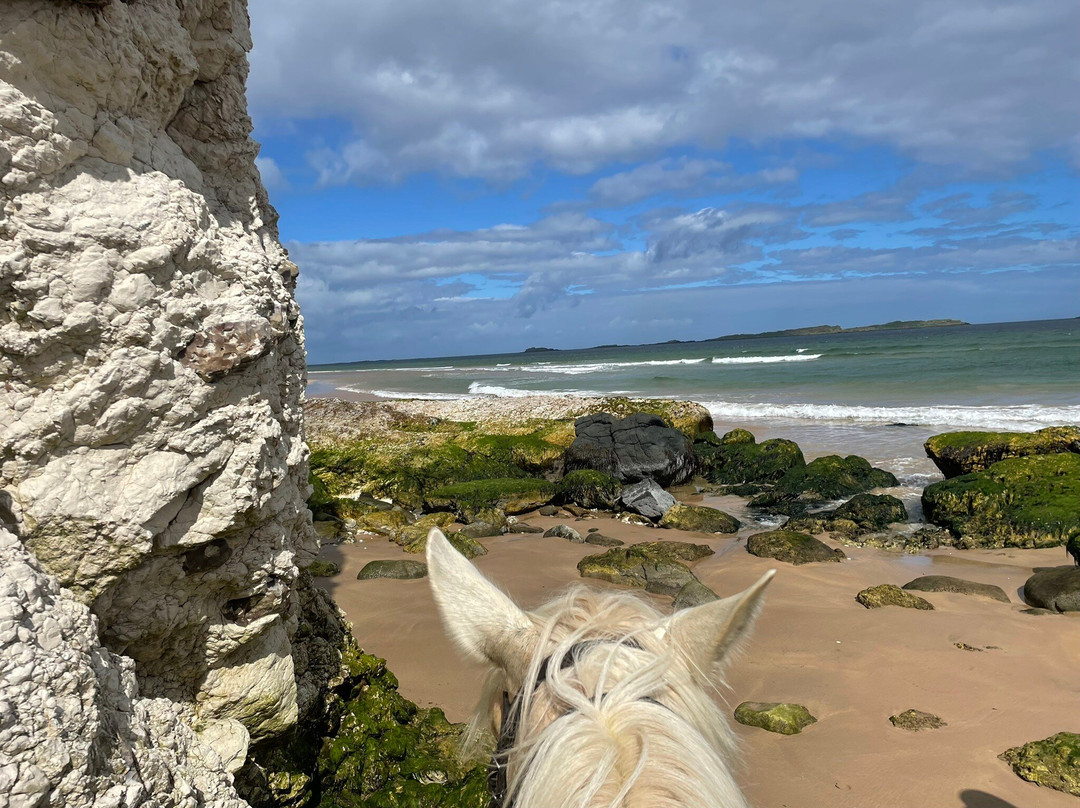 Bespoke Equestrian Ireland-都柏林必去景点