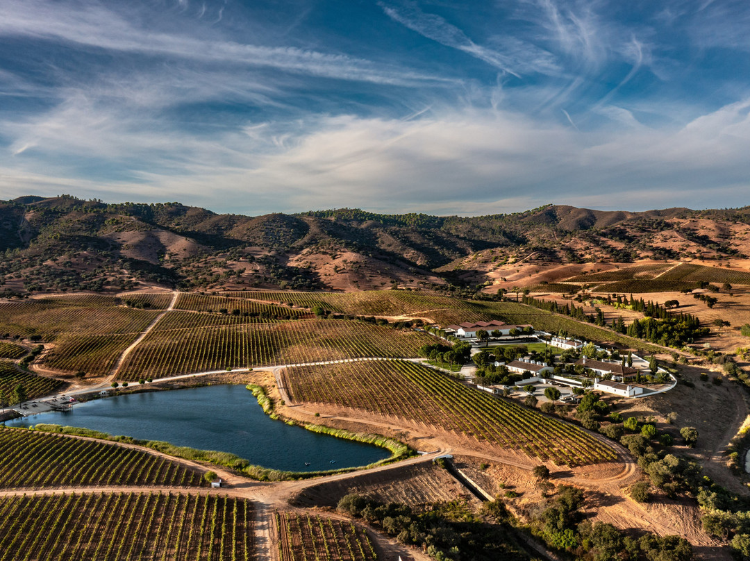 Herdade Do Sobroso Wine Luxury Hotel & Villas