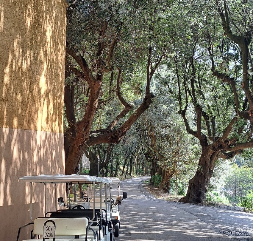 Giardini di Villa Barberini - Borgo Laudato Si'-冈多菲堡必去景点