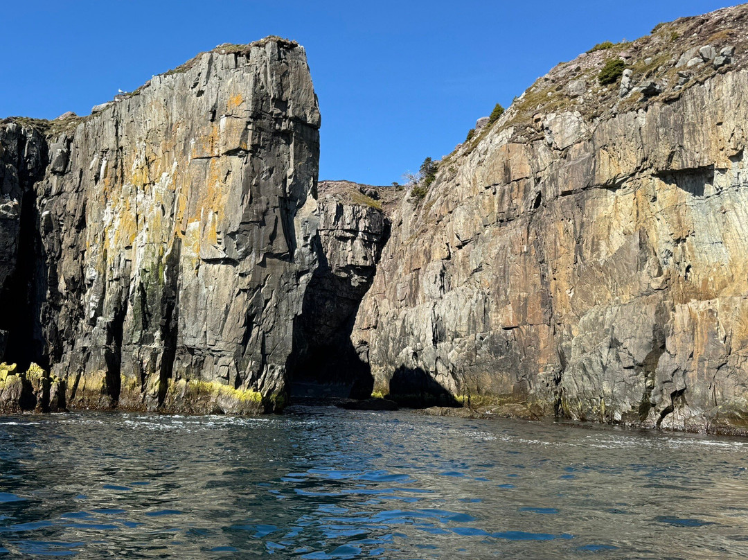 Ocean Quest Adventure Resort-Conception Bay South必去景点