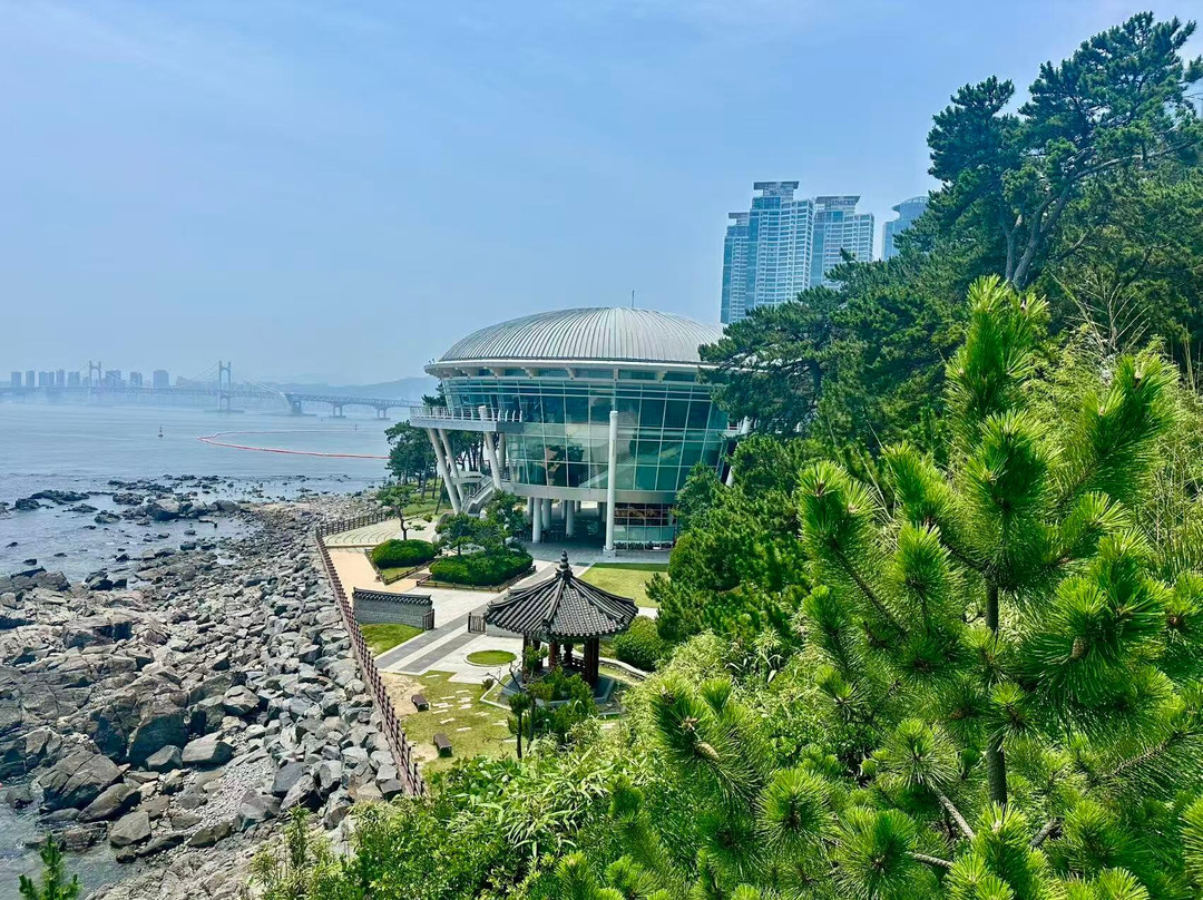 Dongbaekseom-釜山必去景点