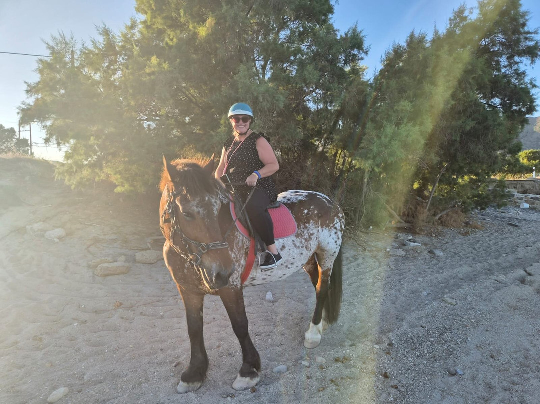 Kardamena Horse Riding Center-卡达米那必去景点