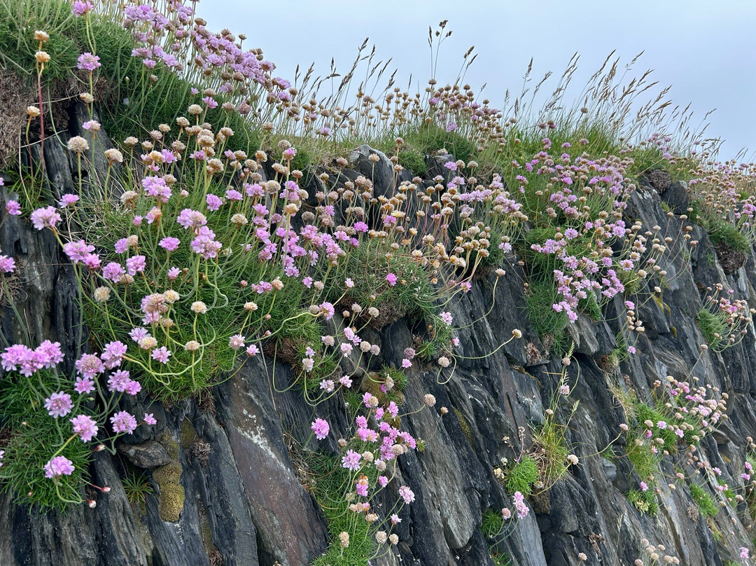 Porthgain Harbour-Porthgain必去景点