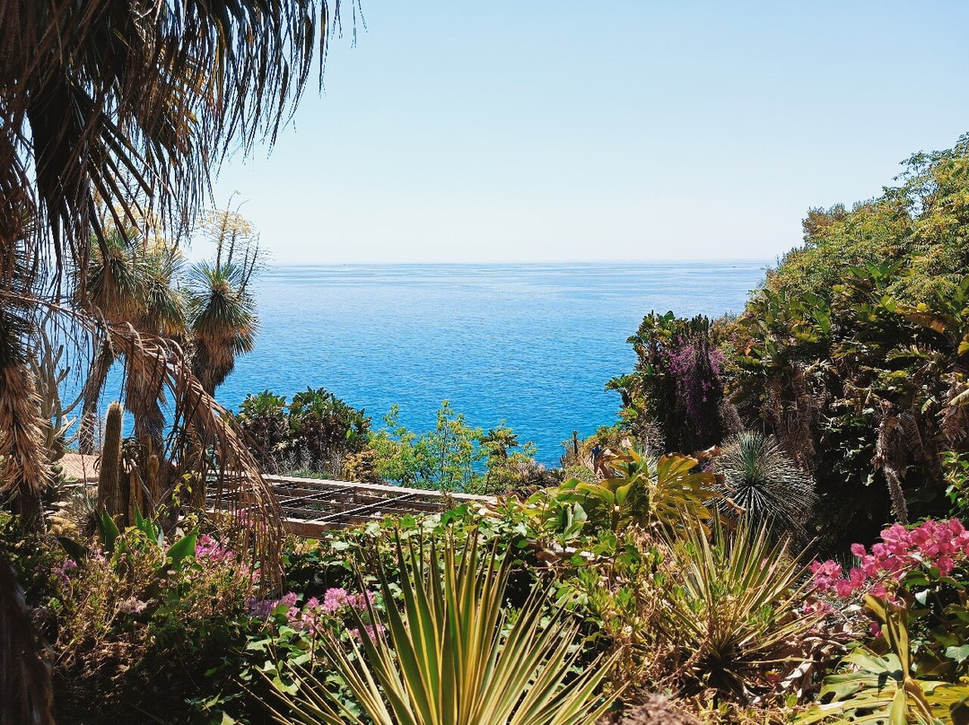 Giardino Esotico Pallanca-博尔迪盖拉必去景点