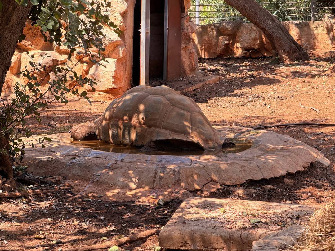 Pafos Zoo-帕福斯必去景点