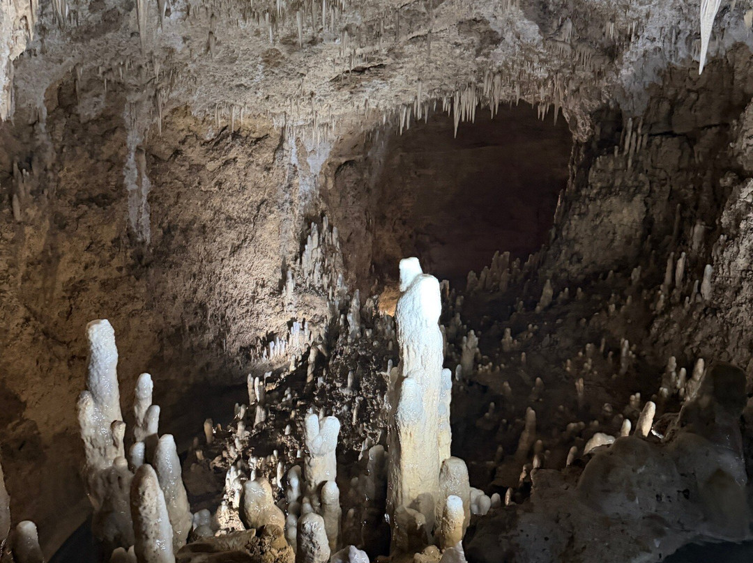 Harrison's Cave Eco-Adventure Park-Saint Thomas Parish必去景点