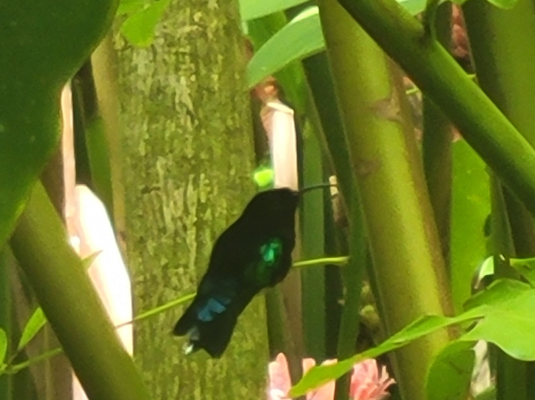 Jardin Botanique de Valombreuse-Petit-Bourg必去景点