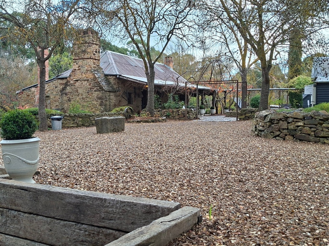Lavandula Farm-Shepherds Flat必去景点