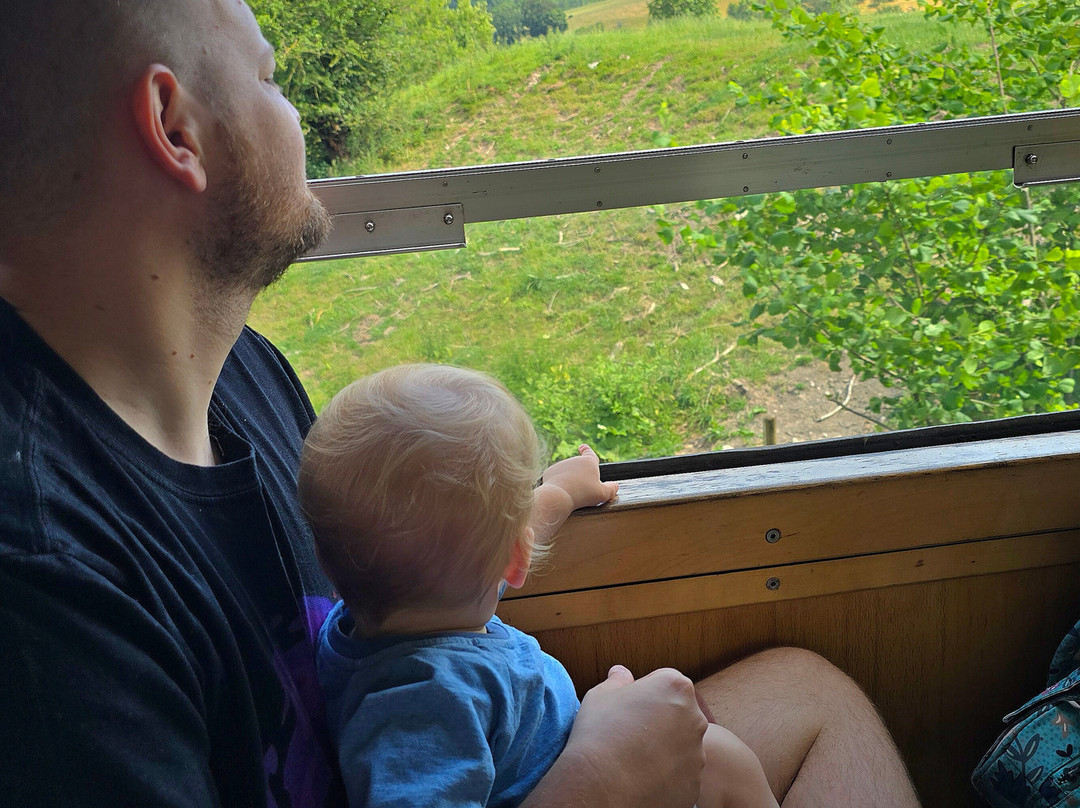 Welshpool and Llanfair Light Railway-Welshpool必去景点