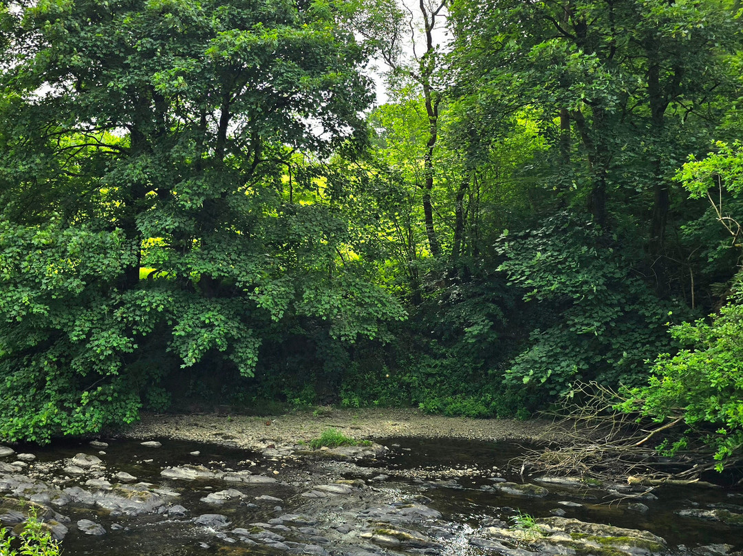 Welshpool and Llanfair Light Railway-Welshpool必去景点