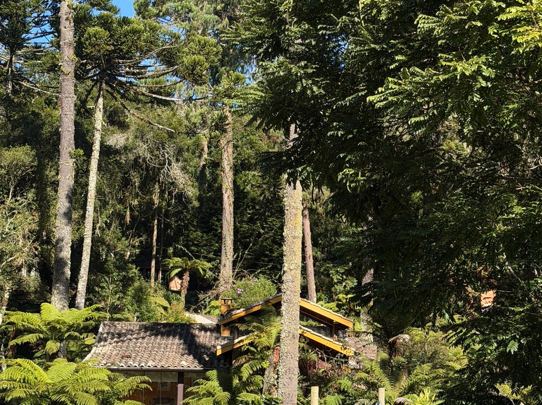 Pousada Villa d'Amore主图