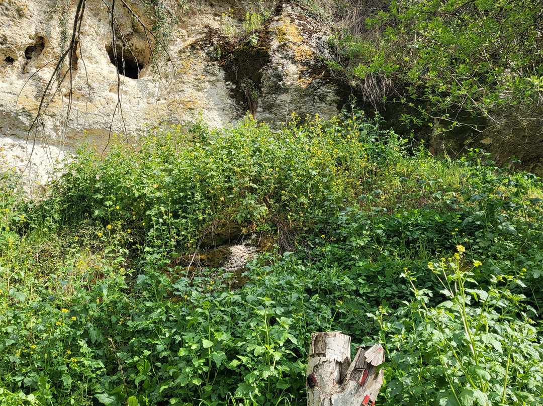 Le chemin des fées-Valence-sur-Baise必去景点