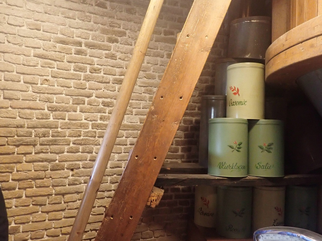 Molen van Groot (Piet)-Alkmaar必去景点