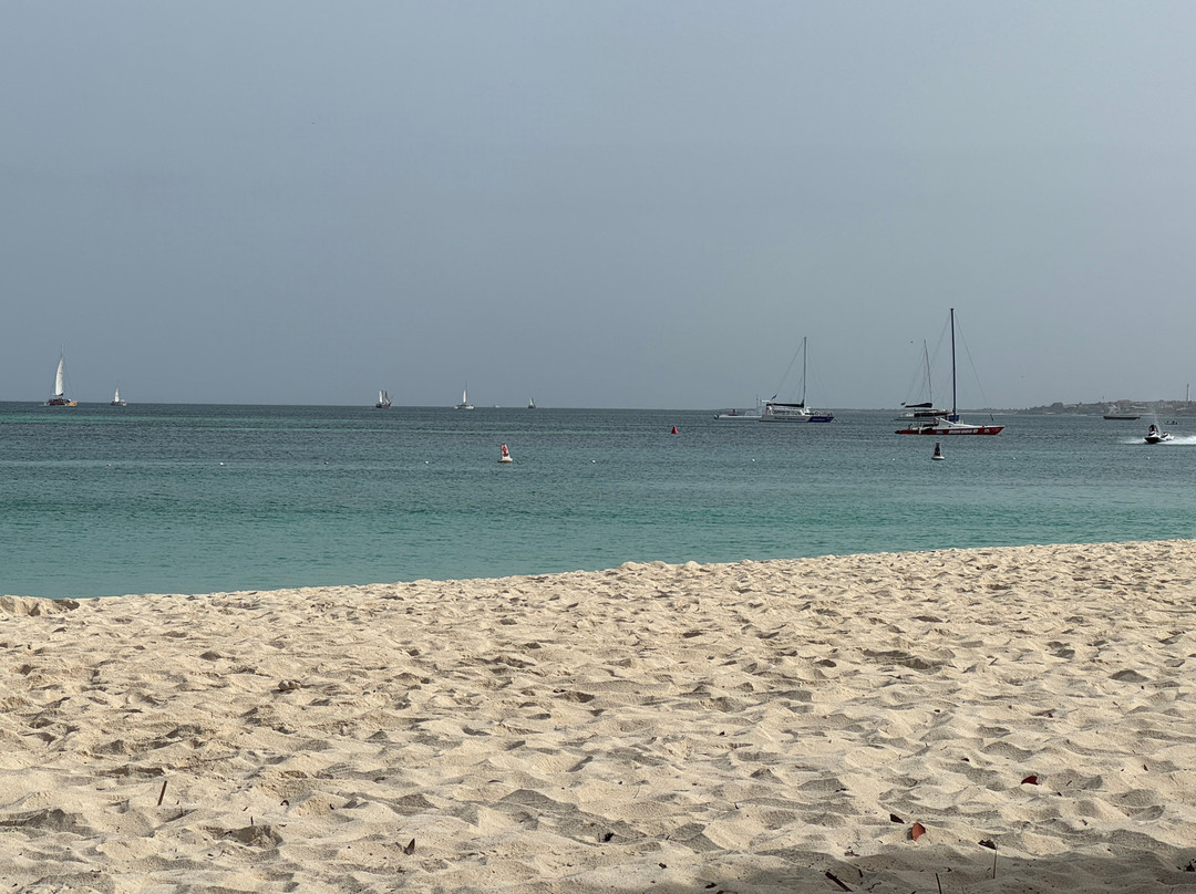 Palm Beach-棕榈/鹰海滩必去景点