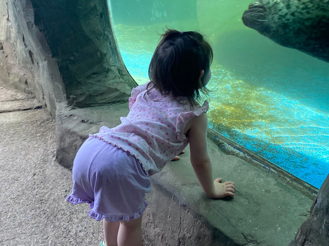 Sea Life Scarborough-斯卡伯勒必去景点