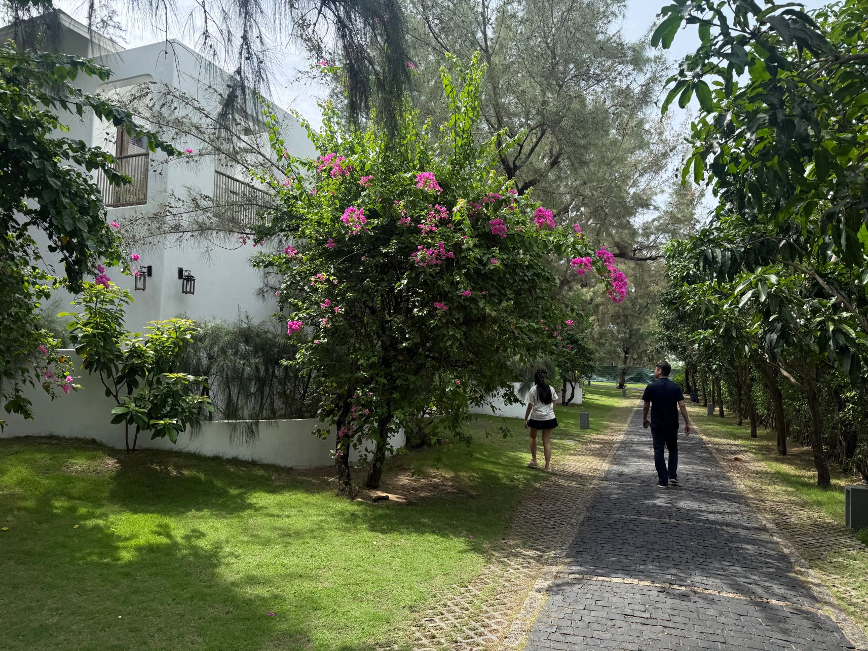 丝黛莉雅海滩度假村-旅行者