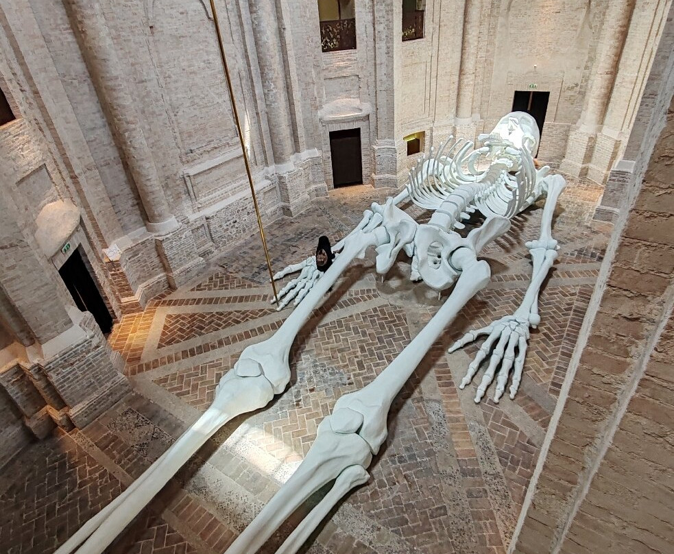Calamita Cosmica - Centro Italiano Arte Contemporanea-福利尼奥必去景点