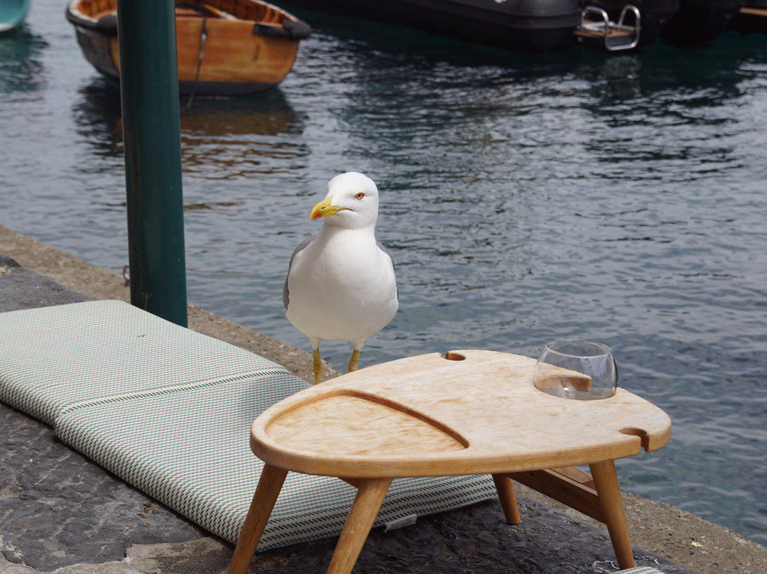 Area Marina Protetta Portofino-波托菲诺必去景点